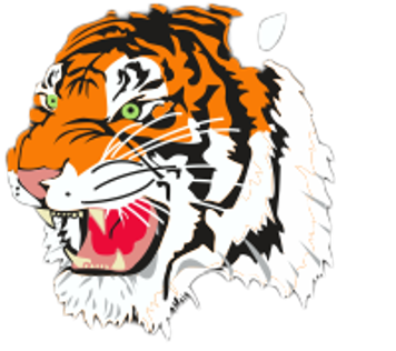 Tigers Insert : Brand Short Description Type Here.
